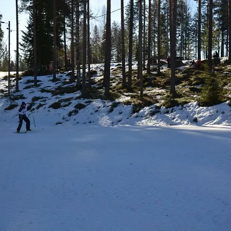 别墅 Leppaekerttu *