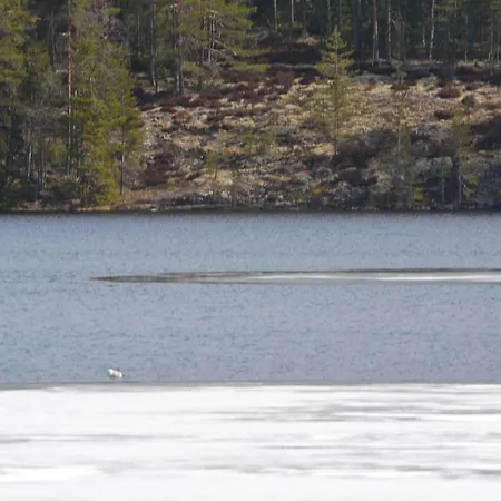 Leppaekerttu 别墅 Enonkoski