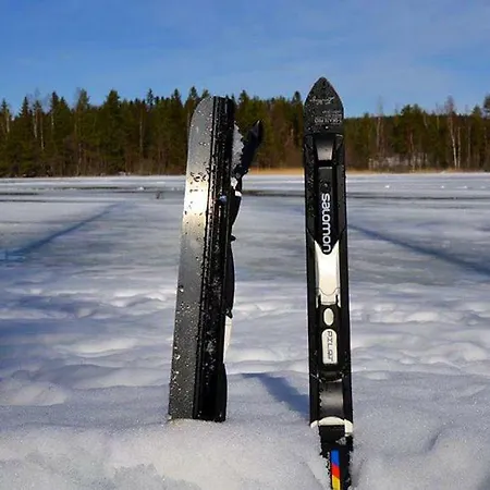 Leppaekerttu * Enonkoski