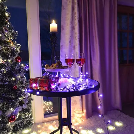 Leppaekerttu 别墅 *