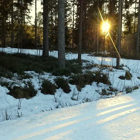 Leppaekerttu 别墅 Enonkoski