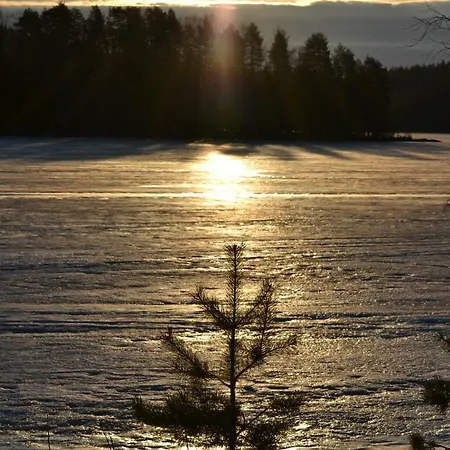 Leppaekerttu * Enonkoski