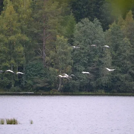 别墅 Leppaekerttu *