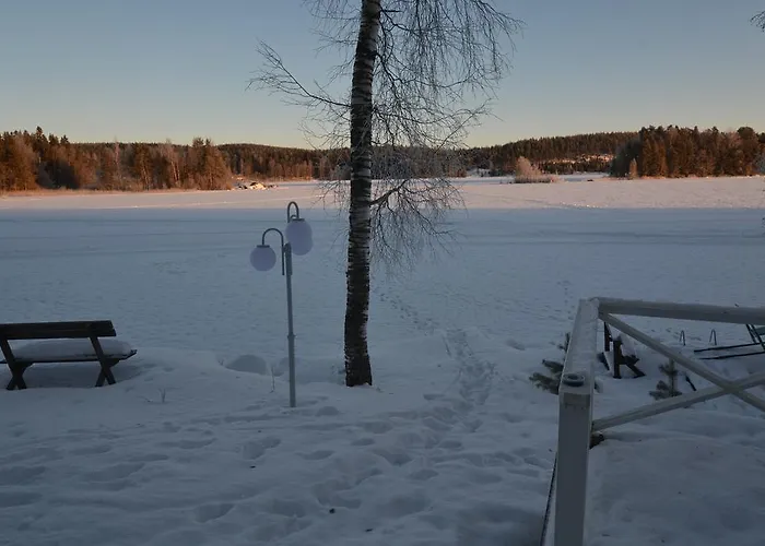 Leppaekerttu Enonkoski