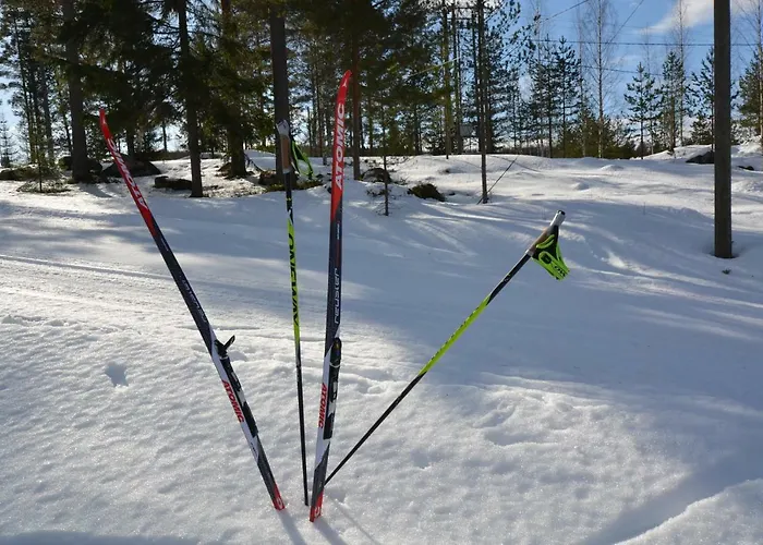 Villa Leppaekerttu Enonkoski