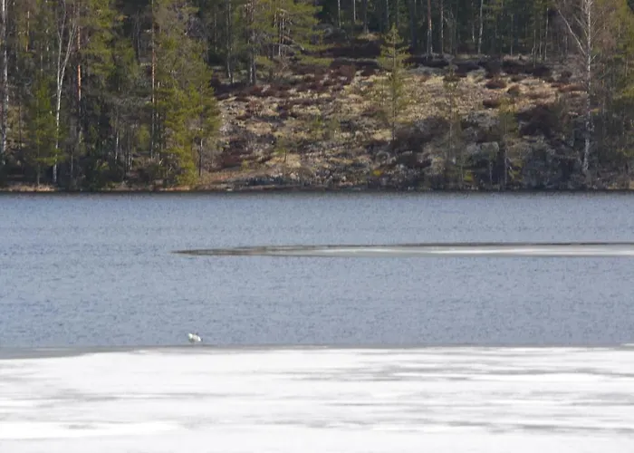 Leppaekerttu Villa Enonkoski