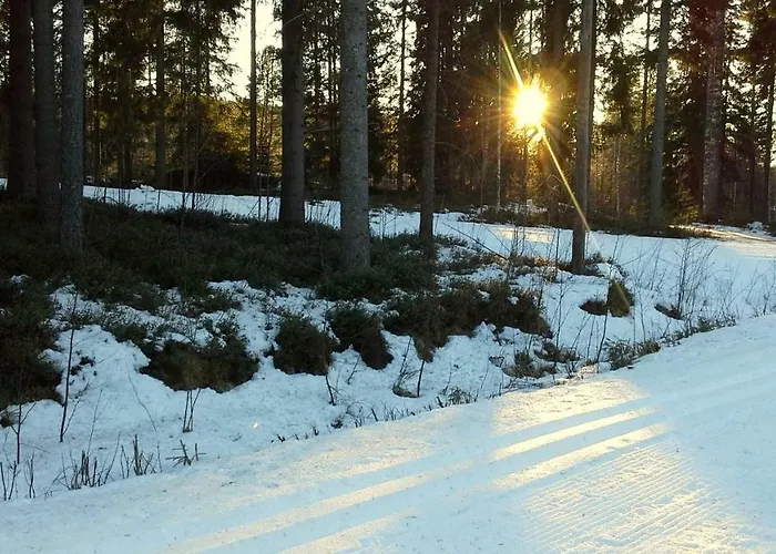 Leppaekerttu Villa Enonkoski