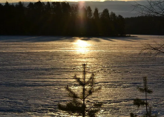 Leppaekerttu * Enonkoski