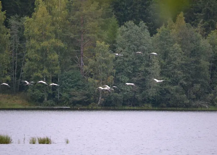 Villa Leppaekerttu *